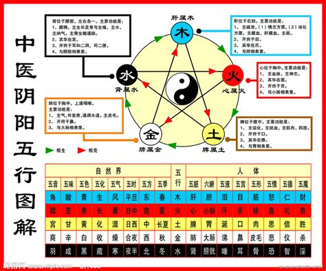 西方五行|五行